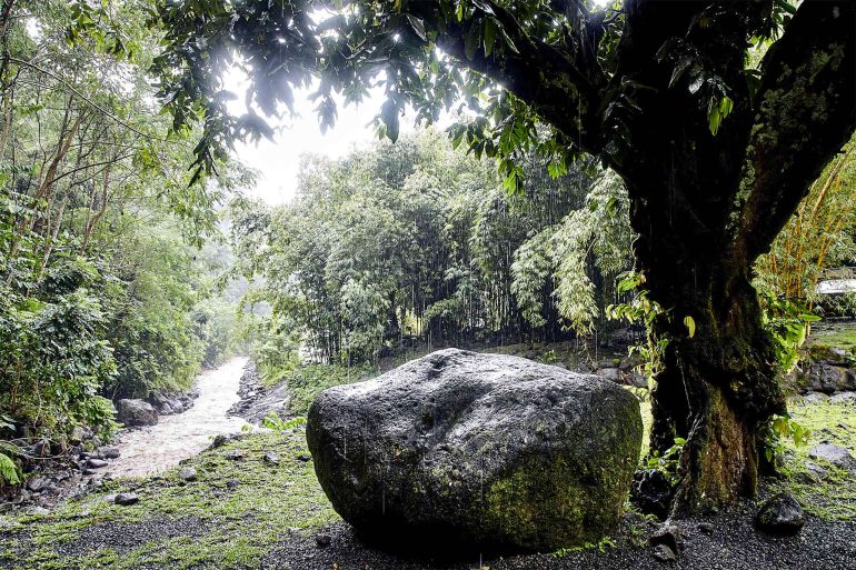 A large rock in the rainforest of The Islands of Tahiti, French Polynesia