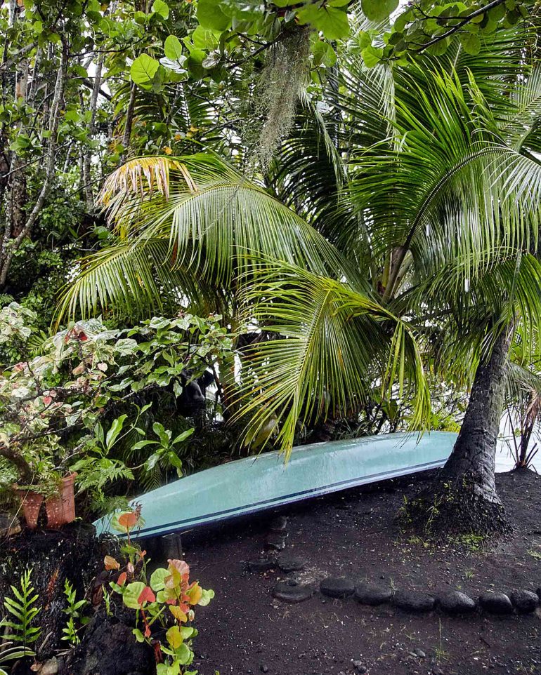 A surfboard lies beneath trees and bushes in The Islands of Tahiti, French Polynesia