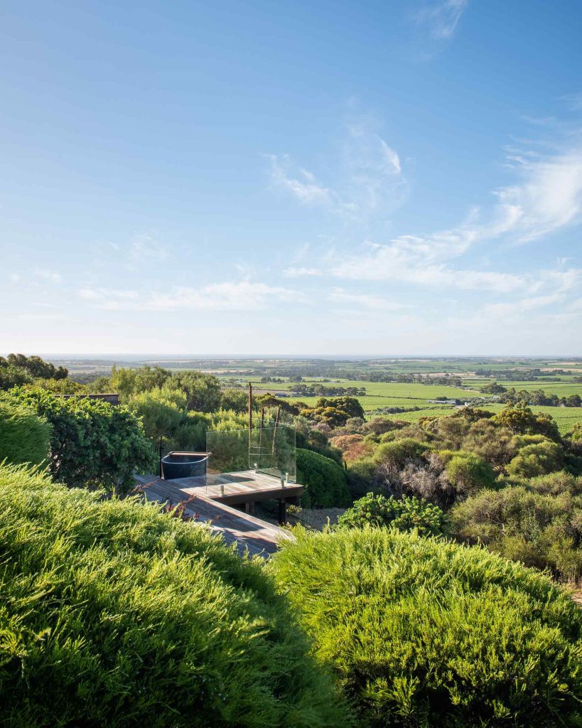 Views of the lush green McLaren Vale