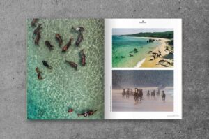 OutThere<br>The California Cool Issue - Image 9