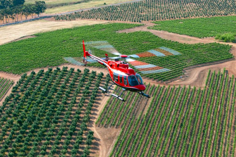 A helicopter by NAC Helicopters flies over a vineyard, Western Cape, South Africa