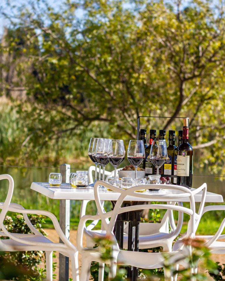 A wine-tasting at Morgenster Estate, Western Cape, South Africa