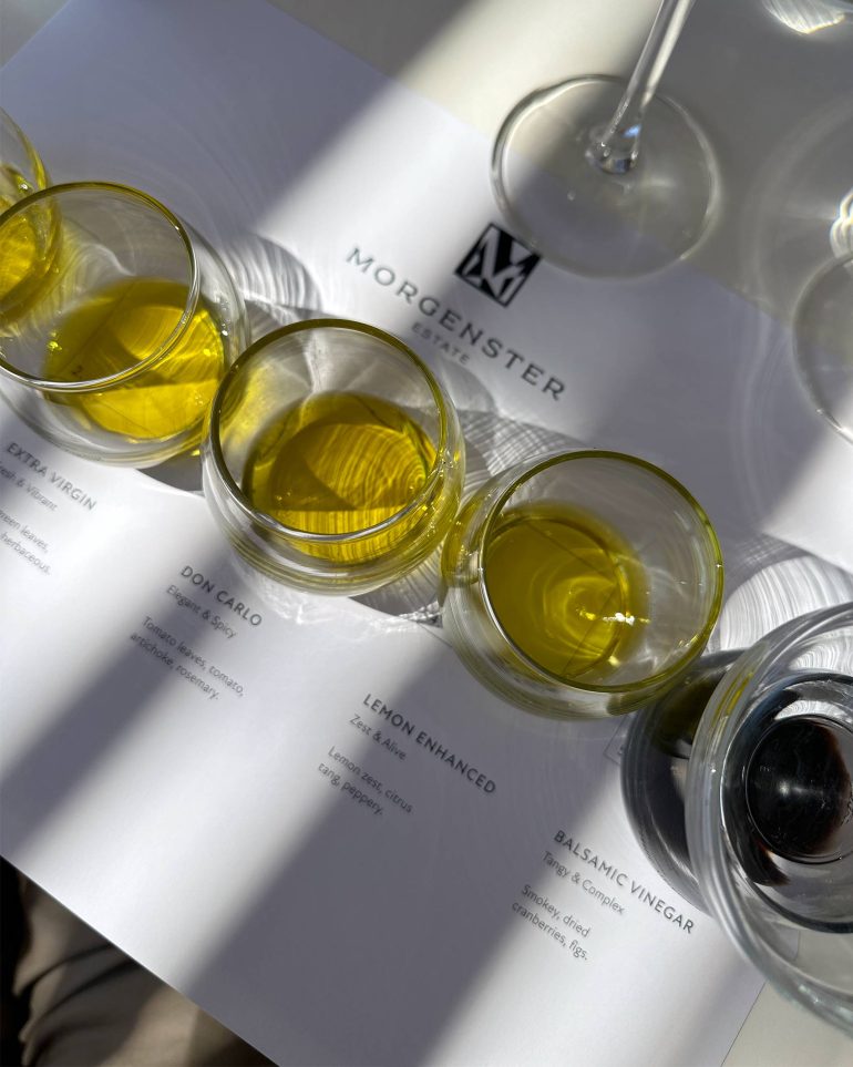 Oil tasting at Morgenster Estate, Western Cape, South Africa