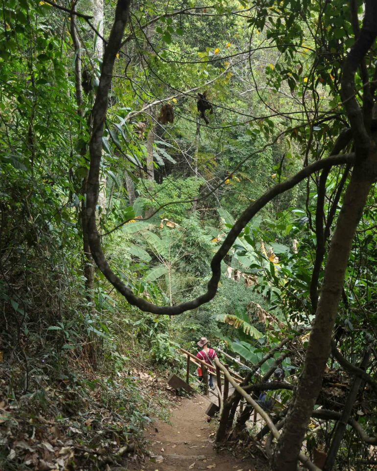 A local guide leads the way into an eco valley outside Chiang Mai, Thailand