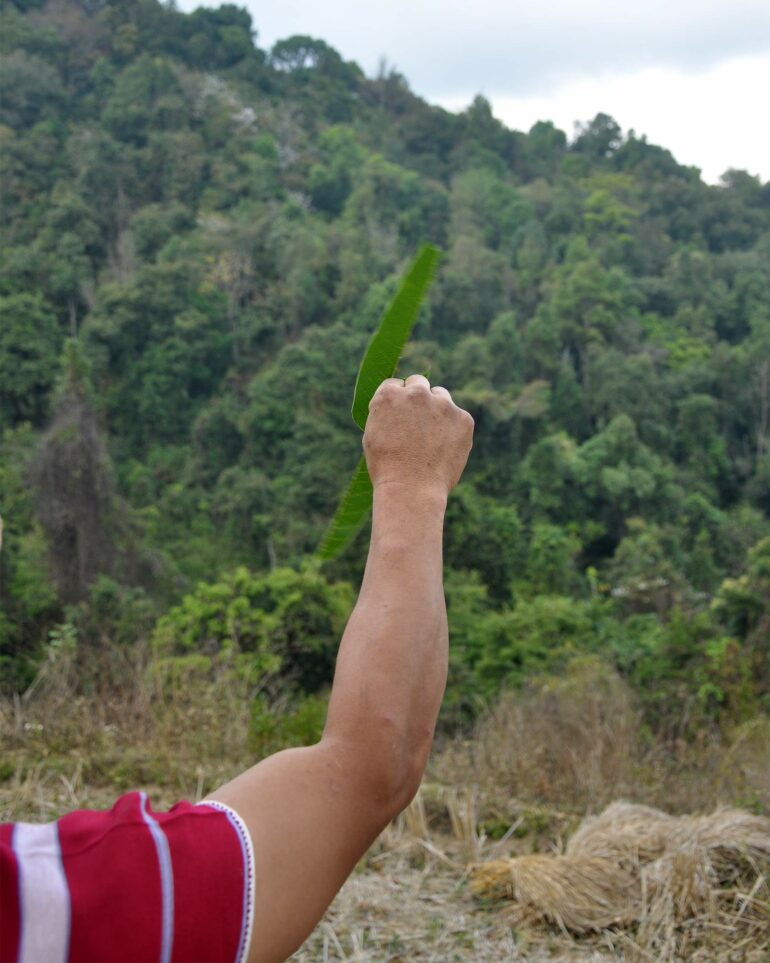 A Pakayaw tribesman builds a windmill from a leaf outside Chiang Mai, Thailand