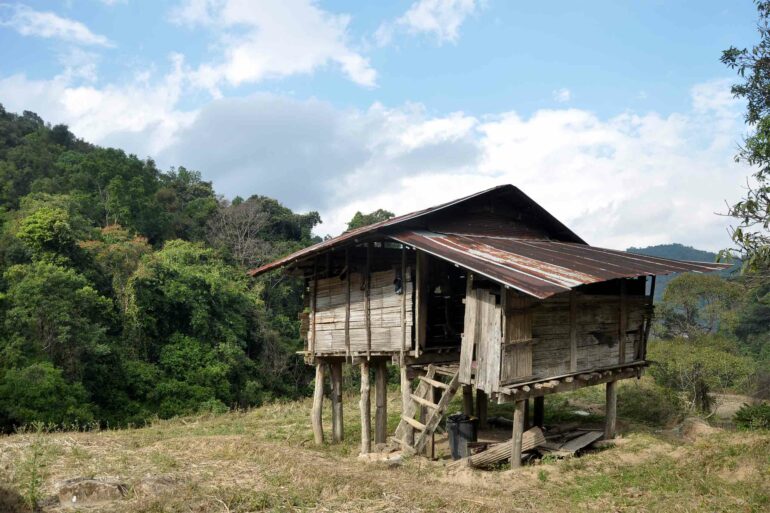 A small hut in a rice field outside Chiang Mai, Thailand