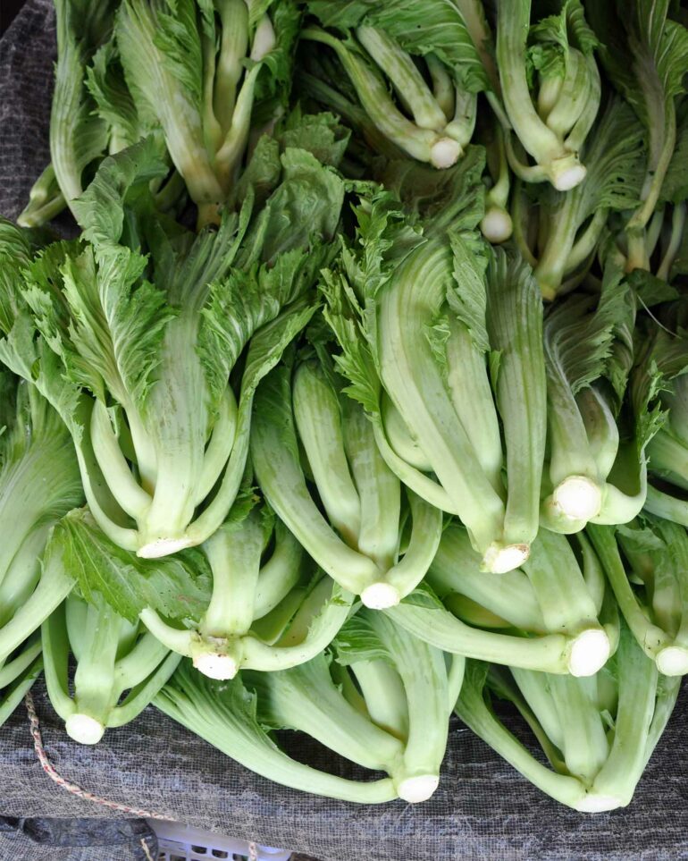 Organic produce from an eco valley outside Chiang Mai, Thailand