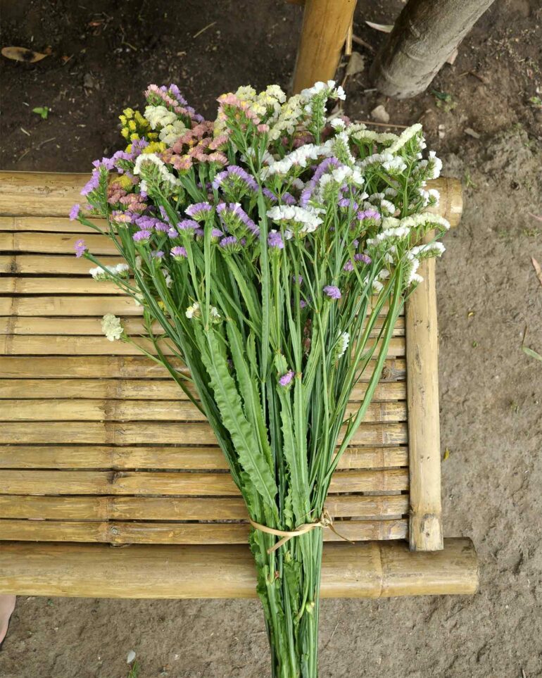 Freshly cut flowers in the eco valley outside Chiang Mai, Thailand
