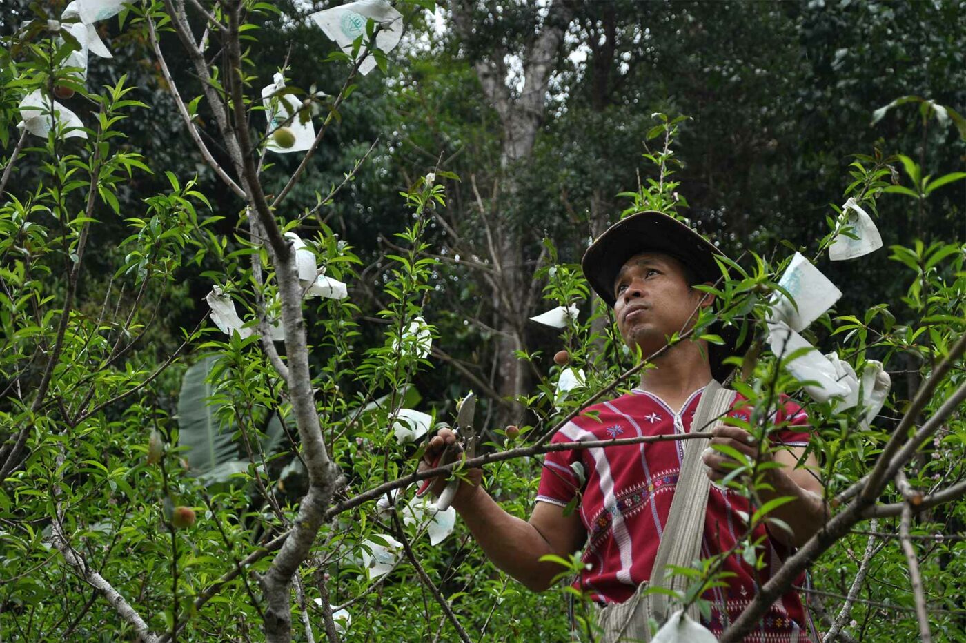 A Pakayaw tribesman outside Chiang Mai, Thailand
