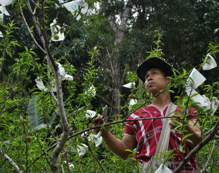 A Pakayaw tribesman outside Chiang Mai, Thailand