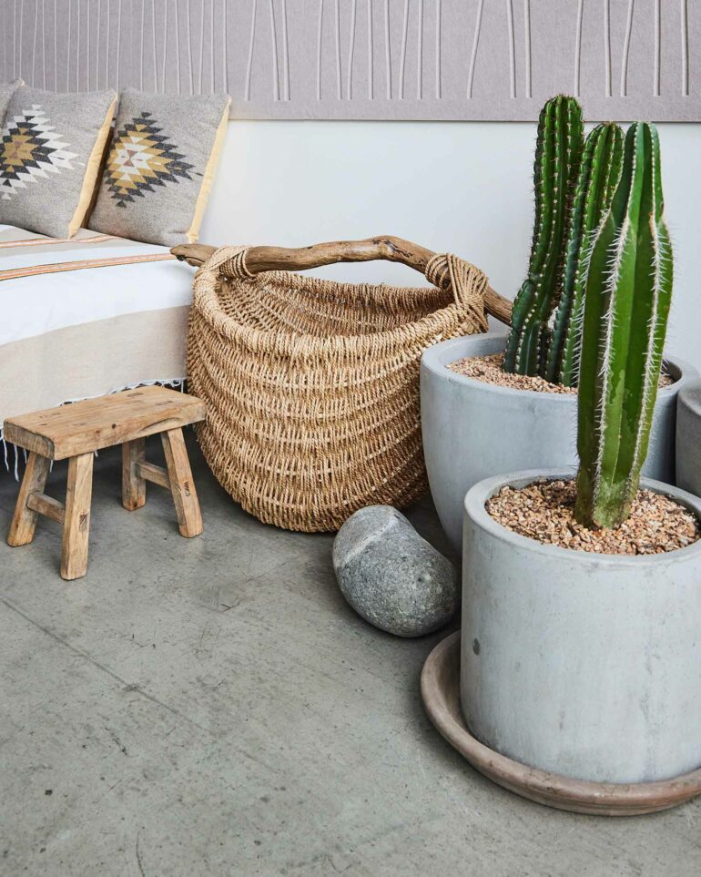 A woven basket on the floor beside cactus plants in concrete pots and a small stall.