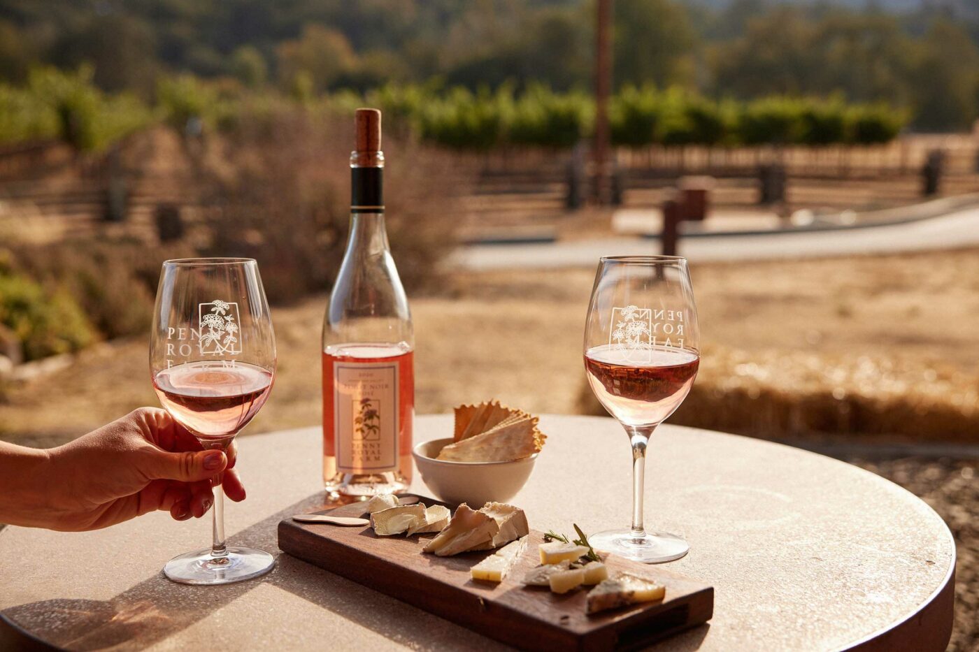 Wine for two and a small cheeseboard at Pennyroyal Farm Winery, Northern California, California, USA.