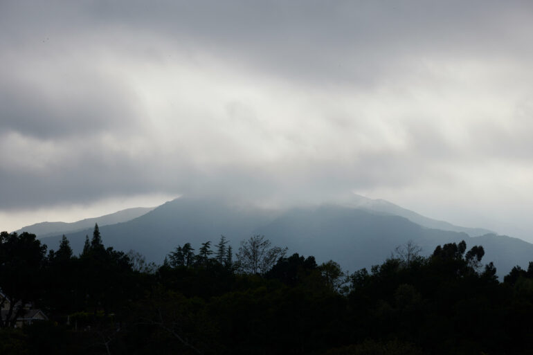 The hills in the Ventura River reserve, shrouded in mist.