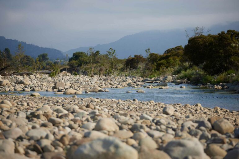 A creek in the Ventura River reserve, California, USA.