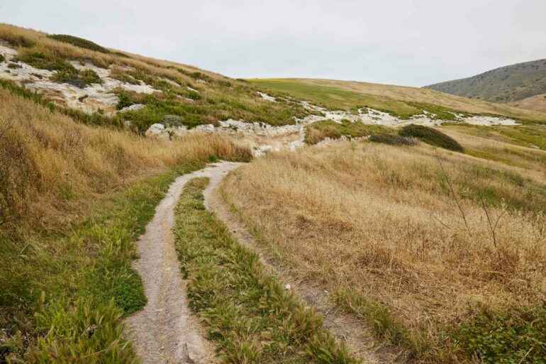 Grassy Hills on Santa Cruz Island, California, USA.