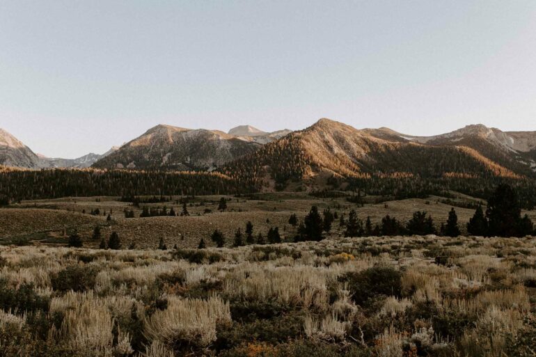 Mammoth mountains behind fields during winter.