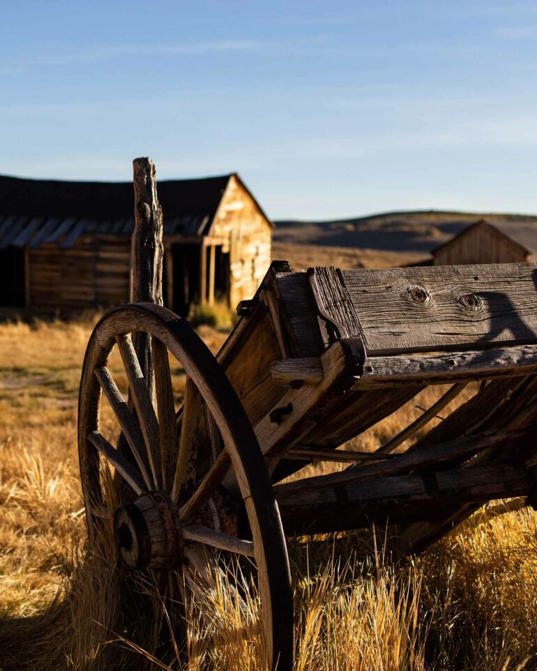 A wooden hut and wheelbarrow in a field.