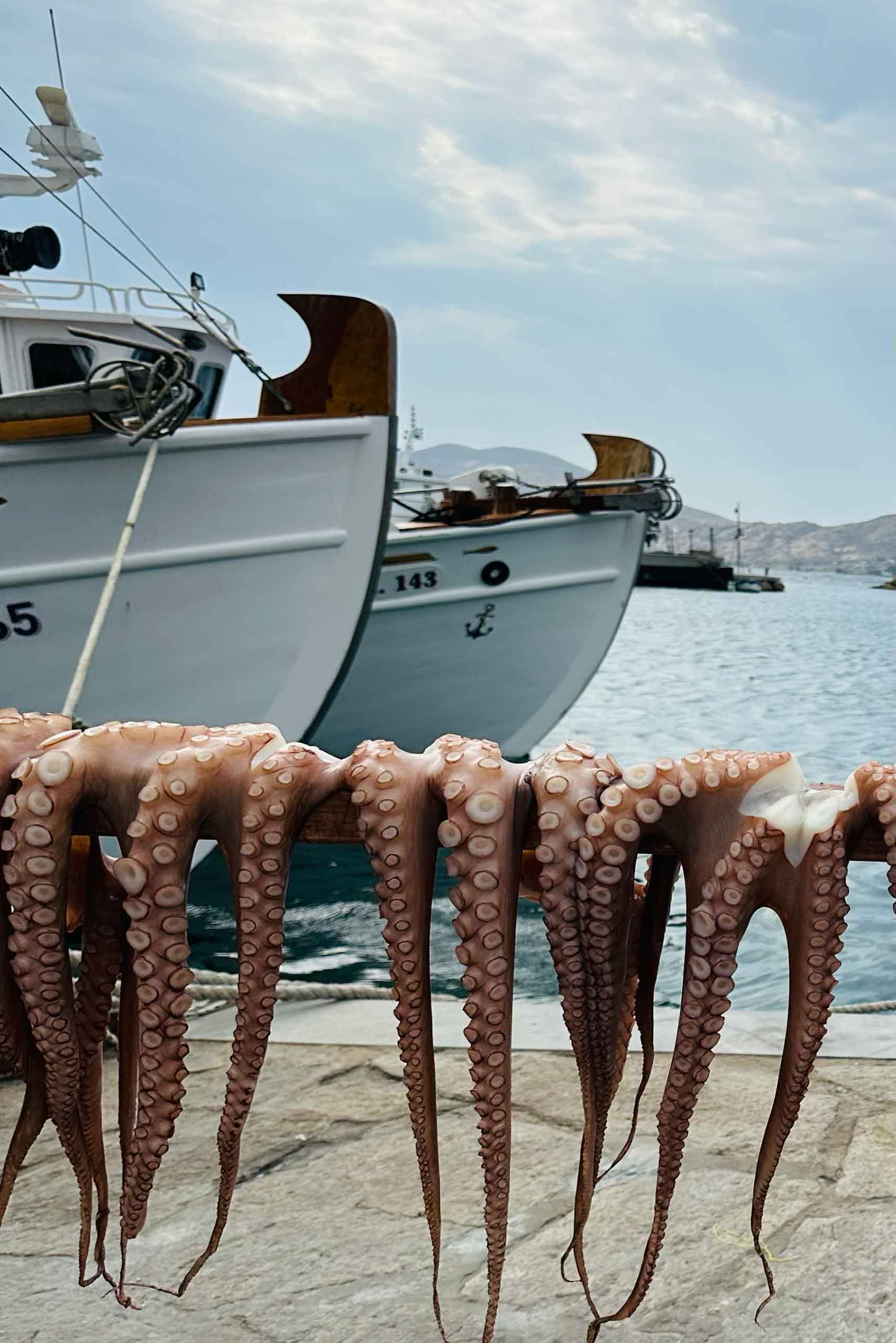Octopus drying out in Naoussa, Paros. Elegant Resorts. 