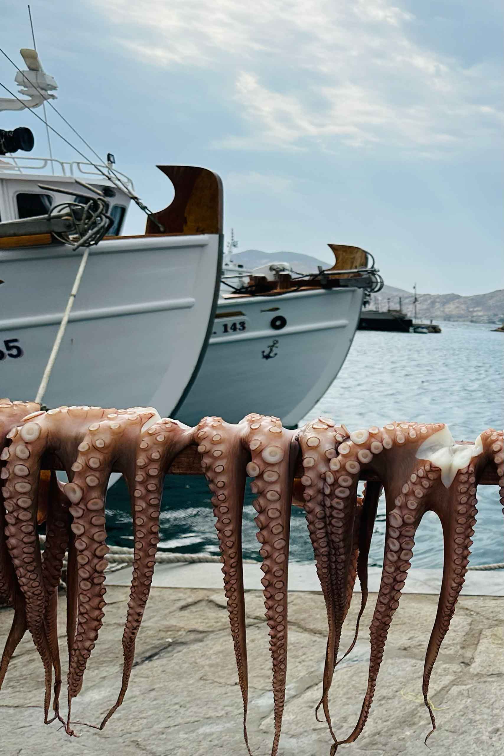 Octopus drying out in Naoussa, Paros. Elegant Resorts.
