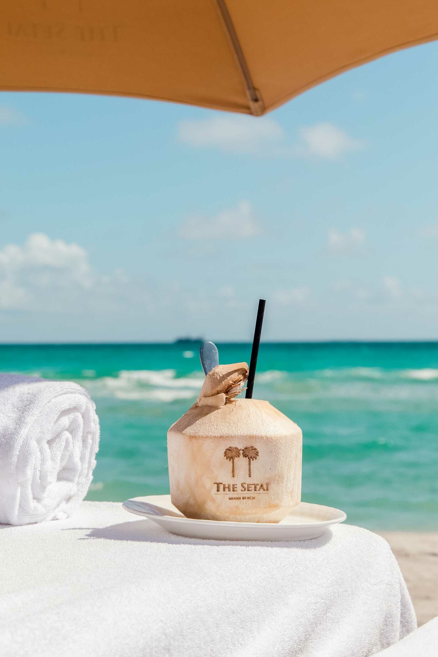 the setai hotel miami beach florida