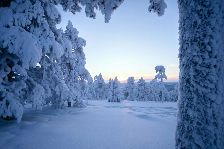 Winter landscape in Finnish Lapland