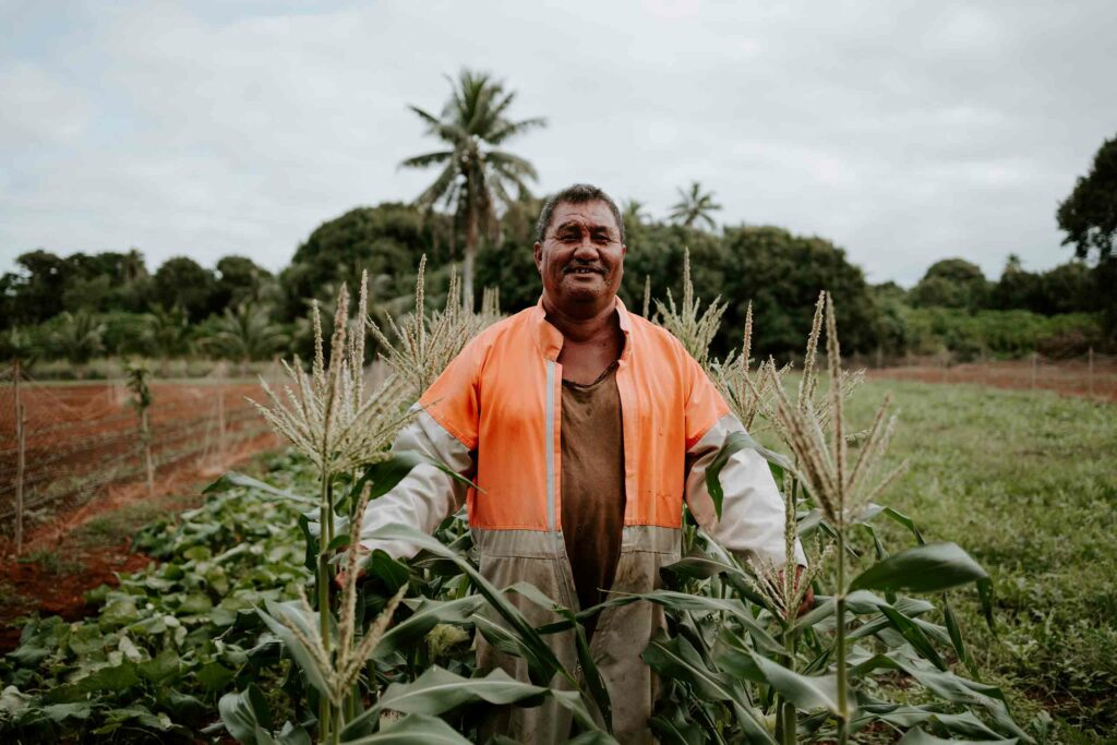 A farmer harvesting crops.