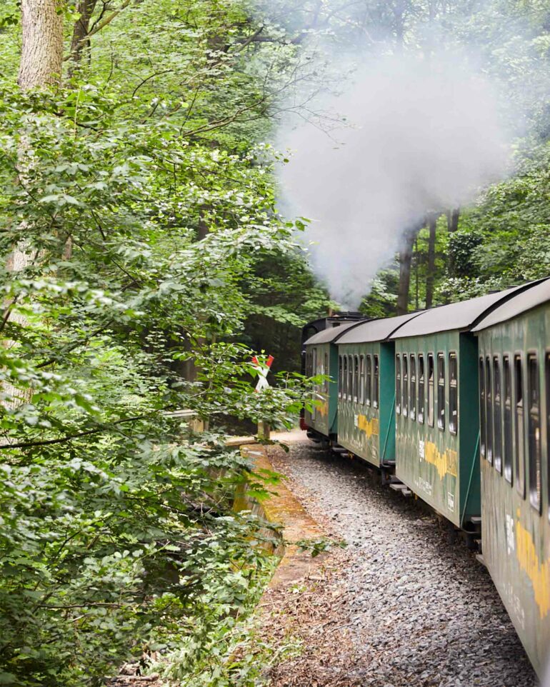 A steam train in Saxony, Germany
