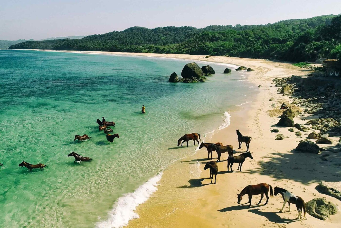 A group of horses by the beach at NIHI Sumba, Sumba, Indonesia
