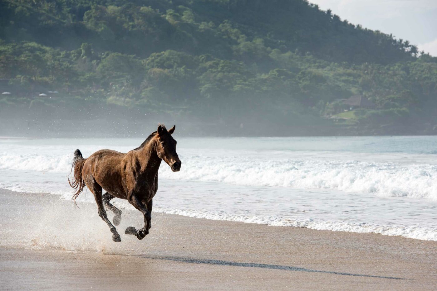 A horse runs along the beach at NIHI Sumba, Sumba, Indonesia