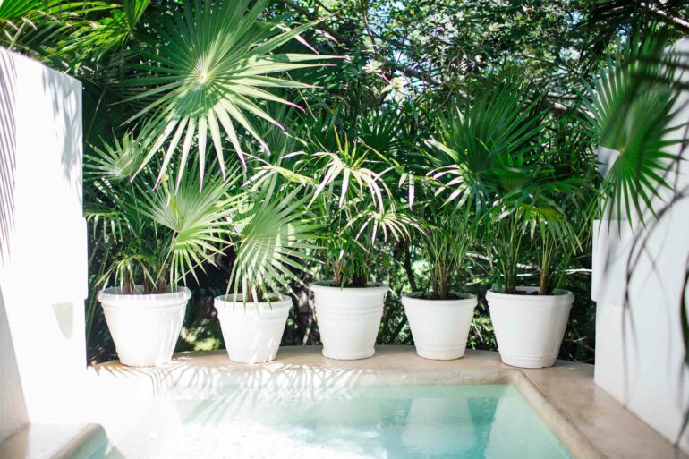 Flower pots line a pool at Hotel Esencia, Xpu-Ha, Mexico