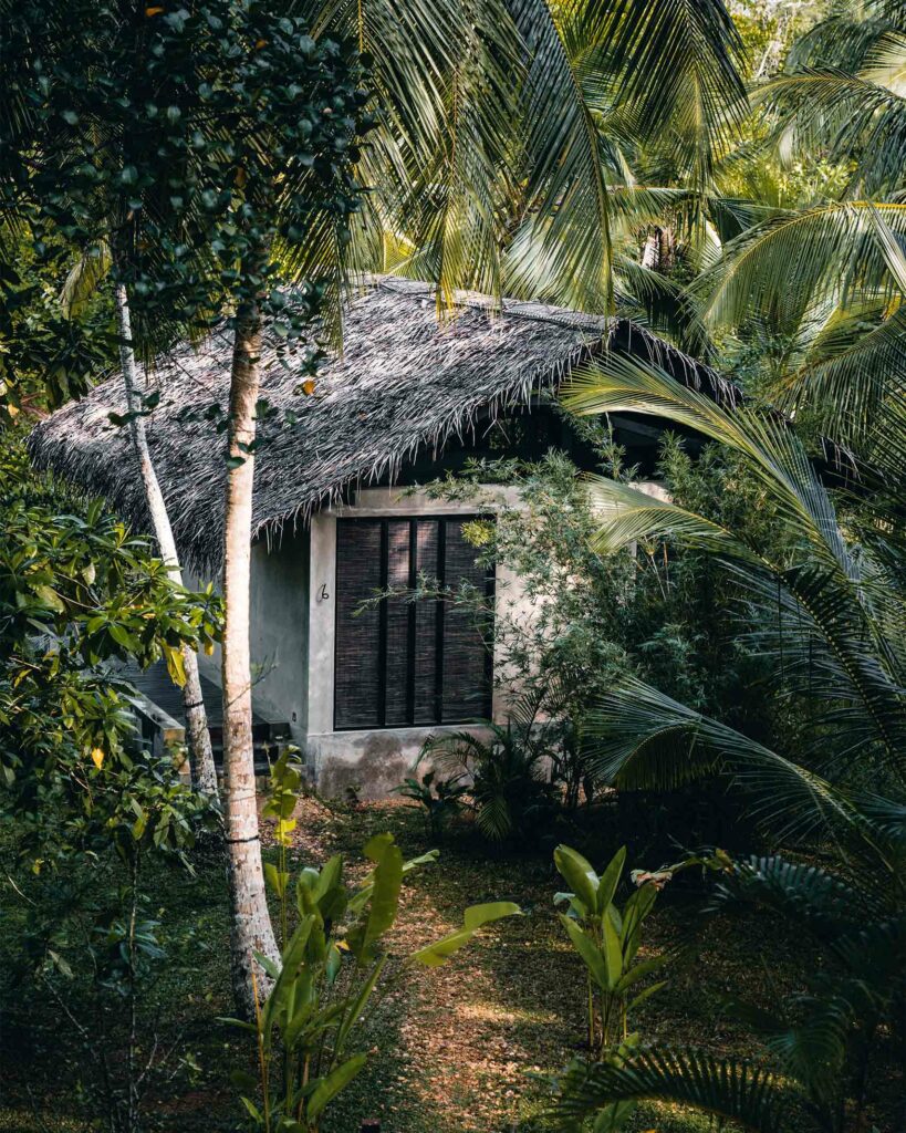 A hut hidden in the rainforest at Kaju Green, Galle, Sri Lanka