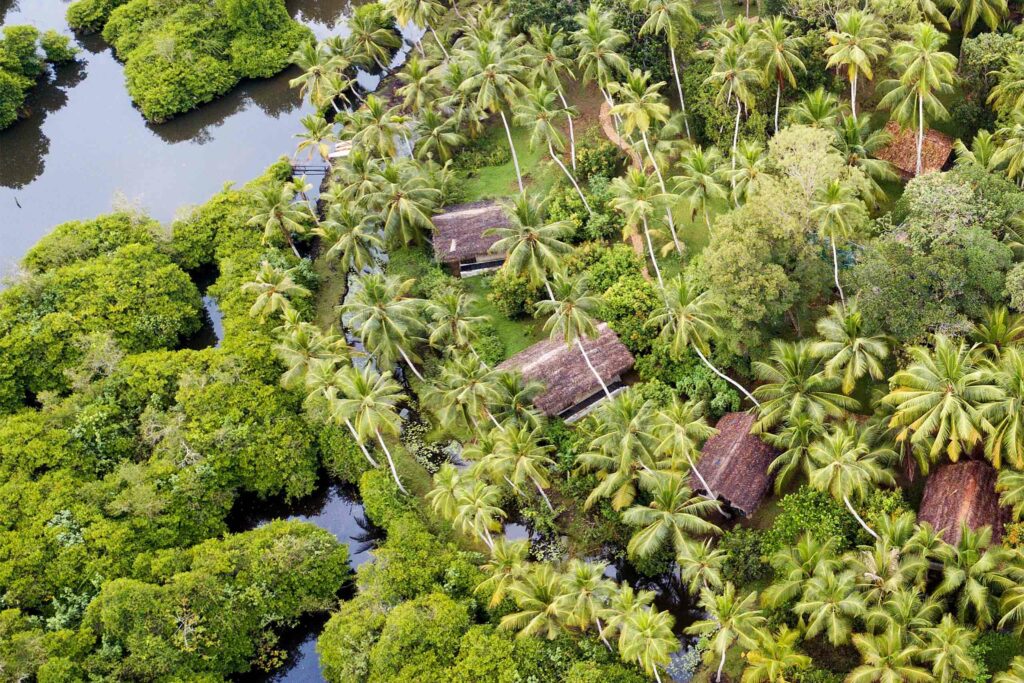 Aerial view of Kaju Green, Galle, Sri Lanka