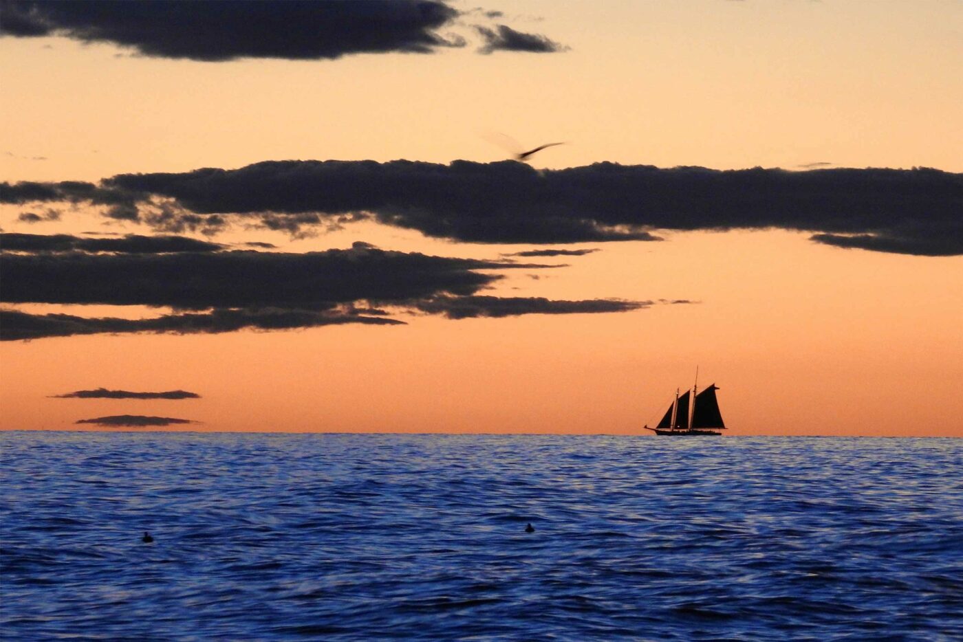 A sunset cruise near Boston, Massachusetts, USA
