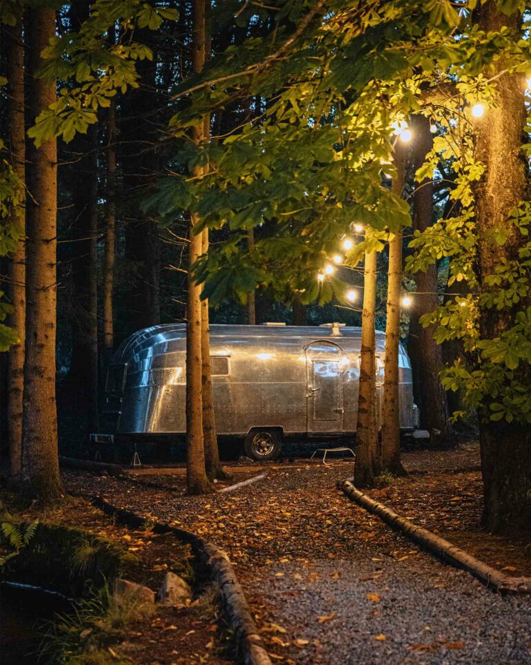 A camper van parks in a Scottish forest