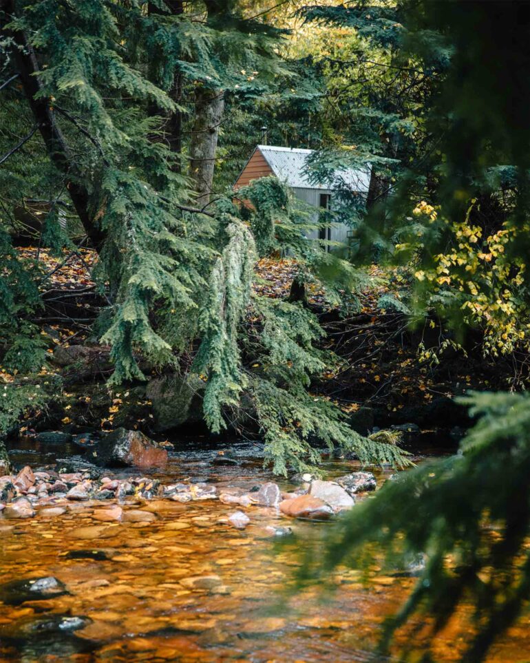 A hut in a forest, representing a new breed of Scottish hotels