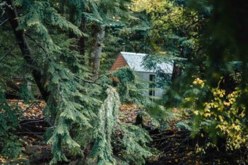 A hut in a forest, representing a new breed of classic Scottish hotels, Scotland