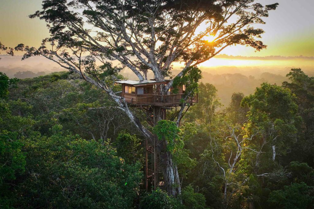 A treehouse above the jungle canopy in Peru