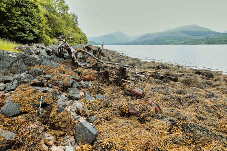 A shore on the Isle of Islay, Scotland