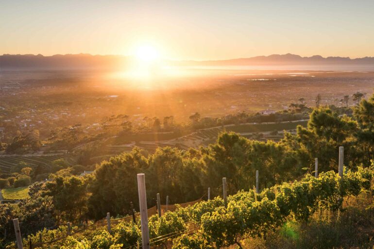 Sunset at Beau Constantia, Cape Town, South Africa