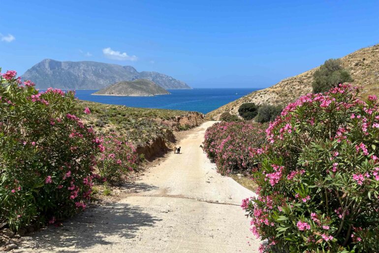 A hiking trail on Kalymnos, Greece