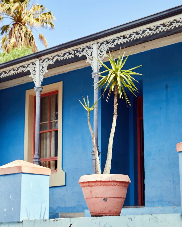 A plant in a pot outside a bright blue house in the Bokaap, Postcards from Cape Town, Cape Town, South Africa