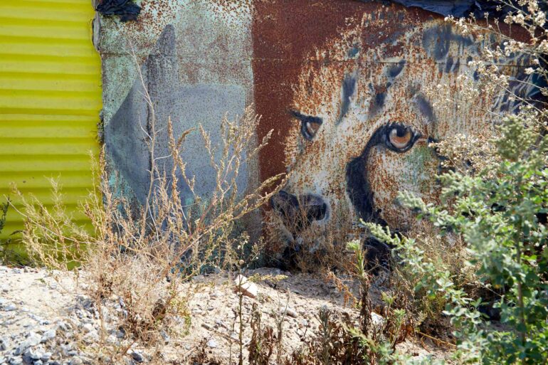 Mural of a leopard part of a Juma Art Tour experience, Cape Town, South Africa