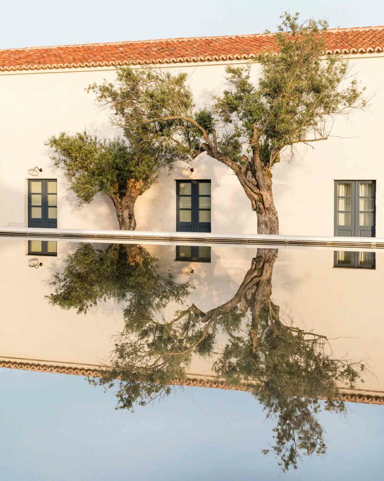Two olive trees are reflected in a water feature at São Lourenço do Barrocal, Alentejo, Portugal