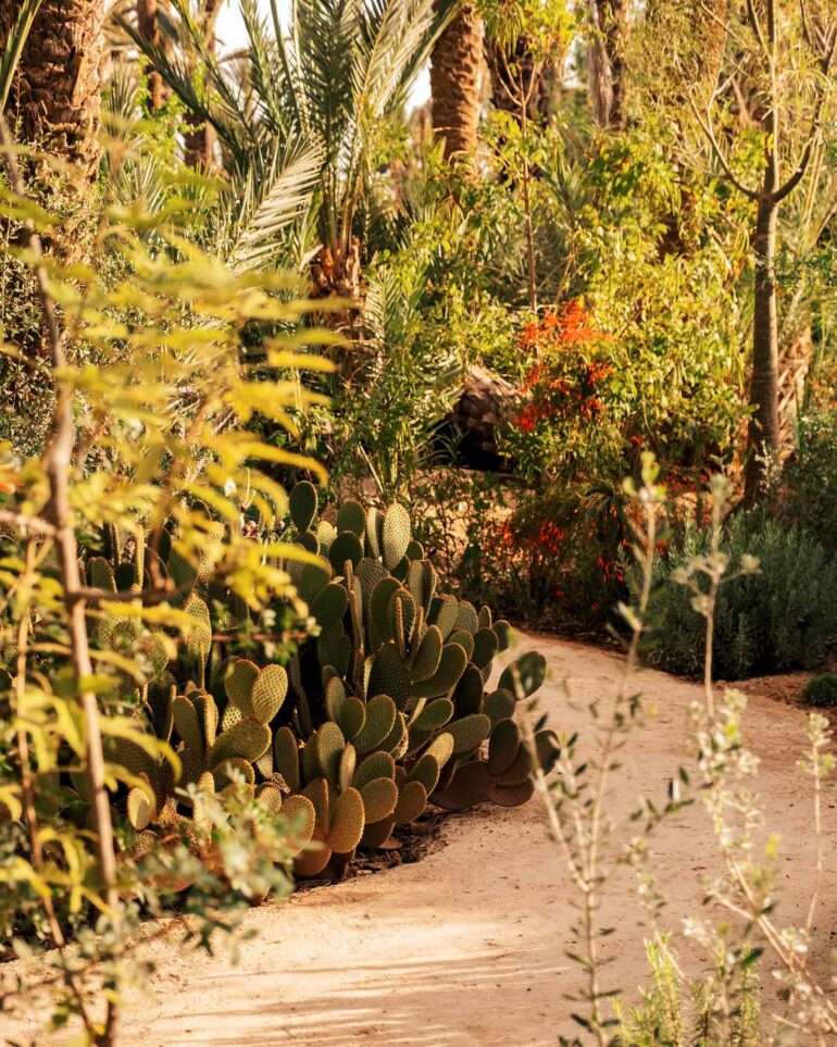 A pathway in the gardens of Jnane Tamsna, Marrakech, Morocco