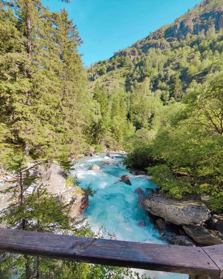 A stream in a forest in Les Deux Alpes, France