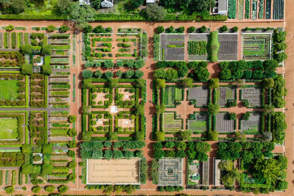 Babylonstoren gardens from above