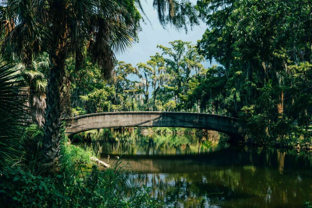 Wild park in New Orleans, at the start of the Louisiana road trip