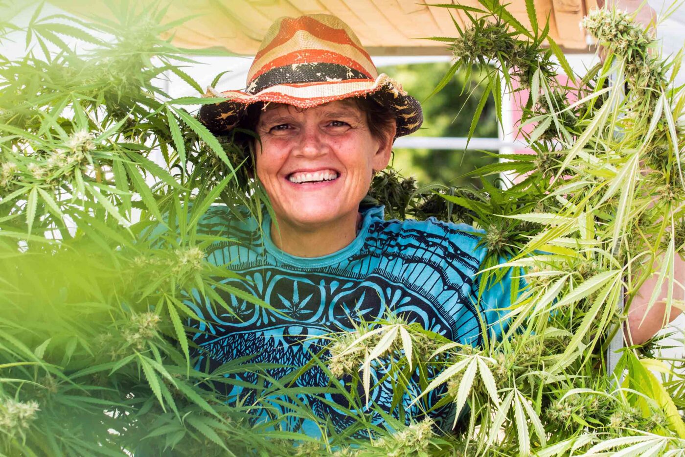 Stacy McCaskill of Hempstock Pharms, Woodstock, Illinois, USA