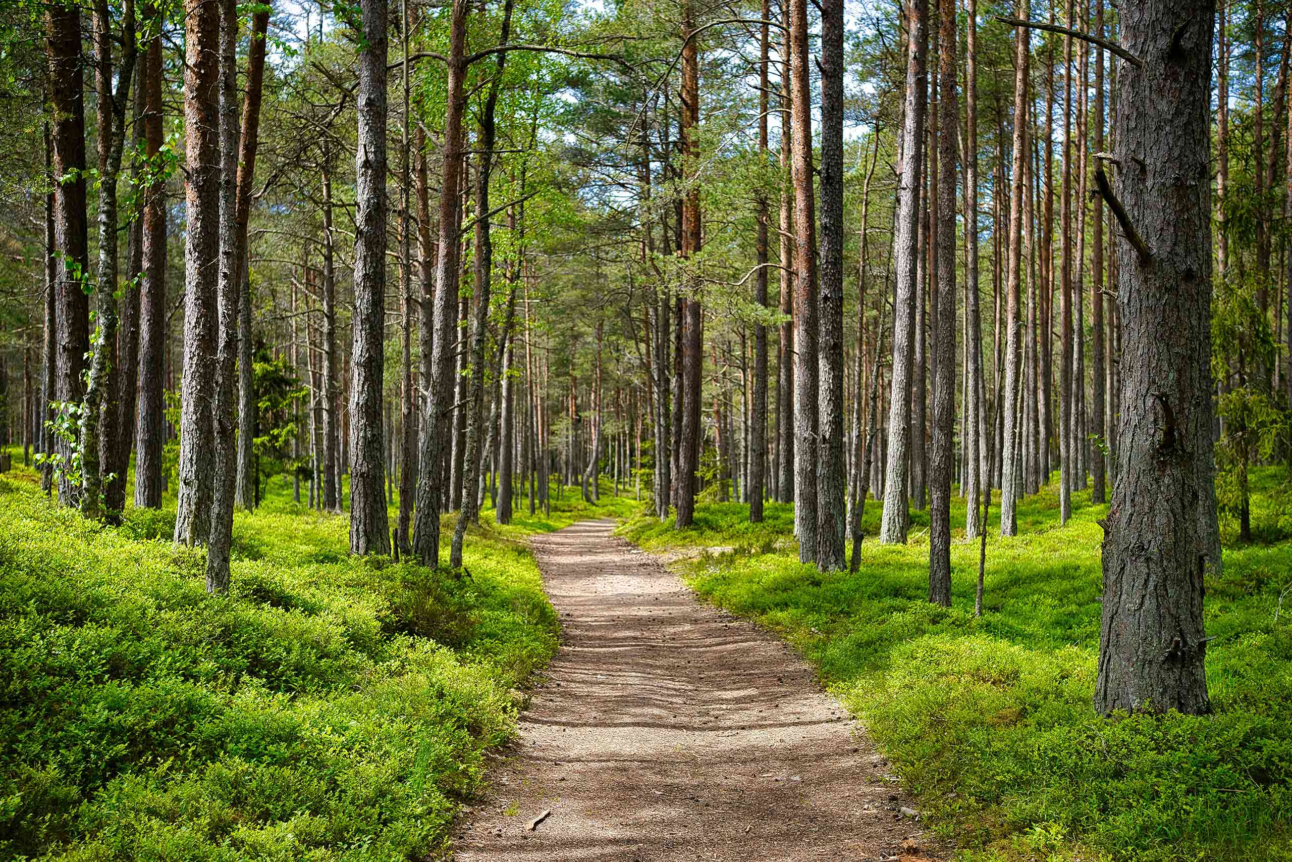 Estonia