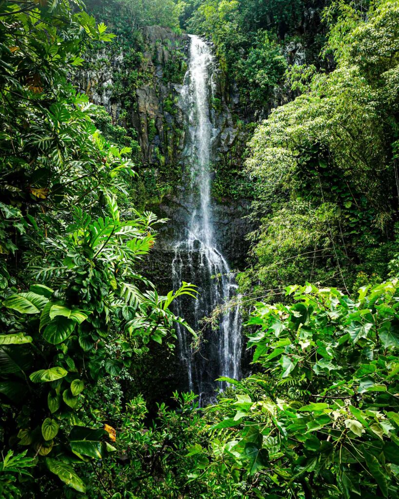 A waterfall rushes down a lush green rainforest